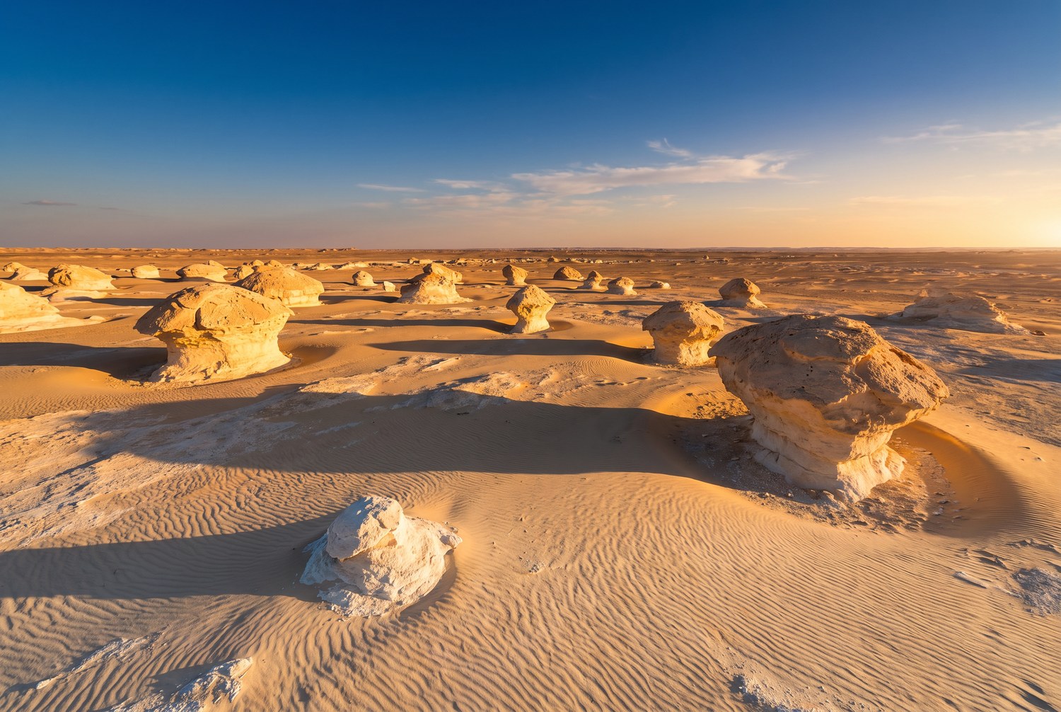 Desierto Blanco